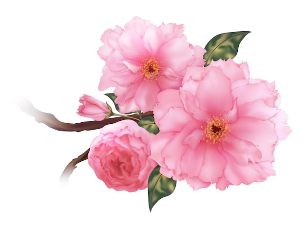 Vektor 3D realistische rosa Kirsche Sakura Blume Zweig digitale Kunst isoliert