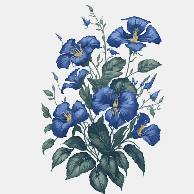 Vektor-aquarell blauer stern morgenherrlichkeit clipart blumenhändler bearbeitbar