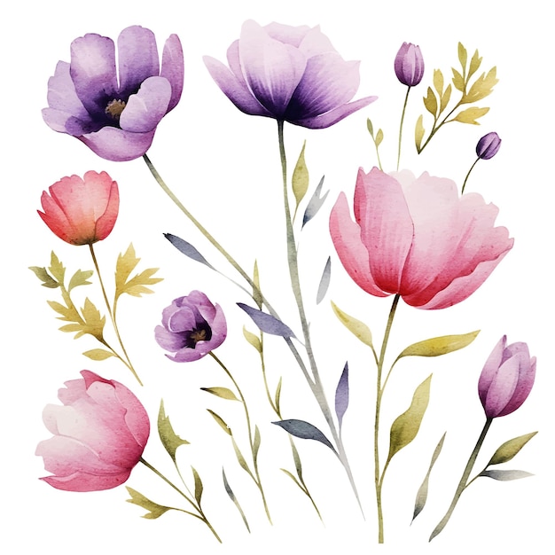 Vektor-aquarell-blumen-clipart