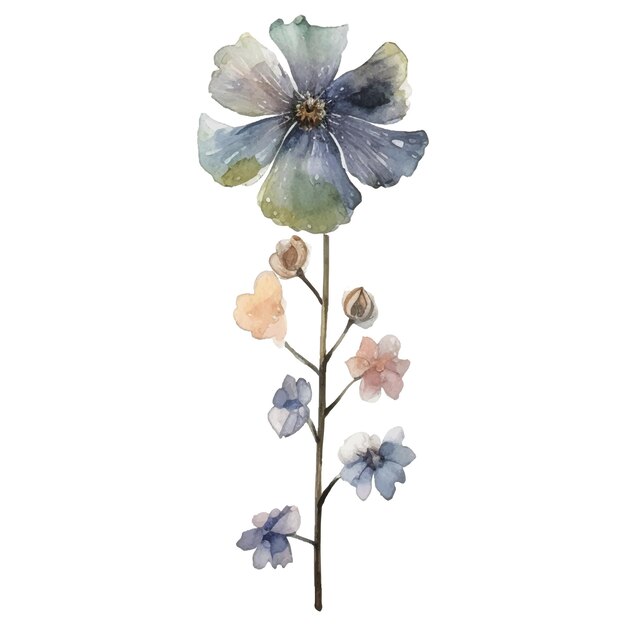 Vektor aquarell gemalte blumenillustration handgezeichnete blumendesignelemente isoliert auf weißem hintergrund