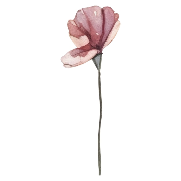 Vektor Aquarell gemalte Blumenillustration Handgezeichnete Blumendesignelemente isoliert auf weißem Hintergrund