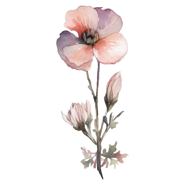 Vektor vektor aquarell gemalte blumenillustration handgezeichnete blumendesignelemente isoliert auf weißem hintergrund