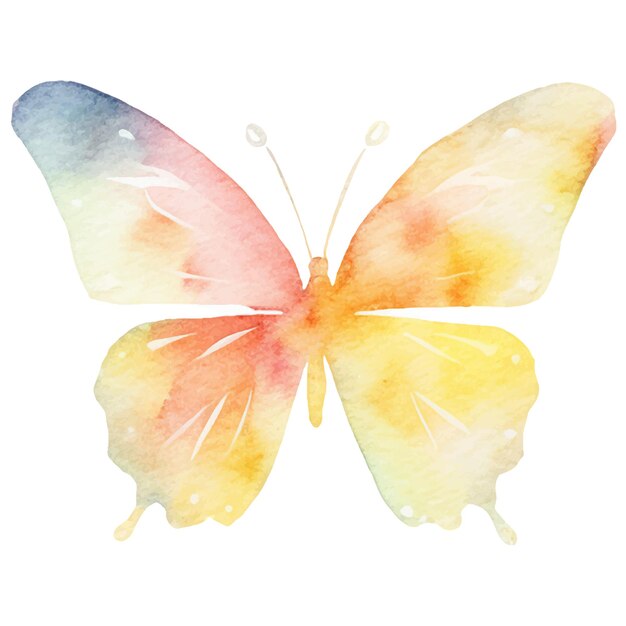 Vektor vektor-aquarell gemalter schmetterling. handgezeichnete designelemente isoliert auf weißem hintergrund