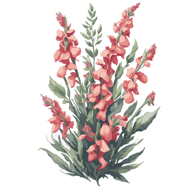 Vektor aquarell pfeil löwenmaul clipart floral