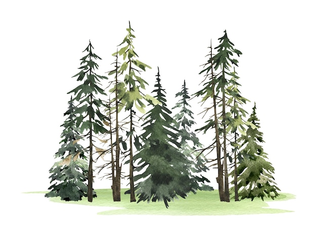 Vektor-Aquarell Sommer Wald Natur Hintergrund grüner Baum