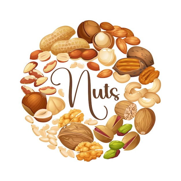 Vektor-Cartoon-Kreisrahmen aus verschiedenen Nussarten wie Cashew-Walnüsse, Macadamia-Brasilien-Nüsse
