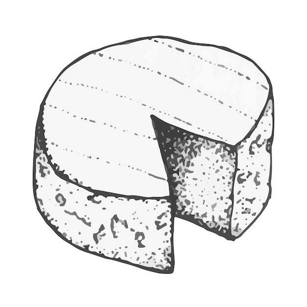 Vektor-Cliparts Käse Handgezeichneter stilisierter Camembert-Käse-Brie