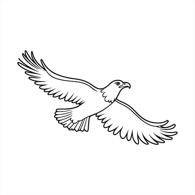 Vektor der Flugsilhouette des Adlers