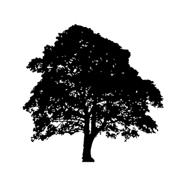 Vektor der Pflanzen- und Baumsilhouette