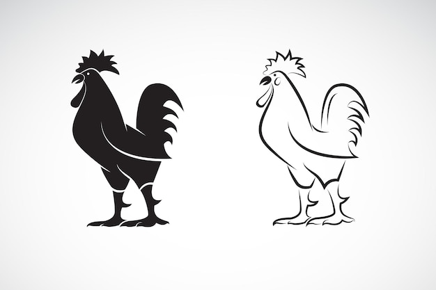 Vektor des Hahn- oder Hahndesigns auf weißem Hintergrund Tierfarm Hahn-Logo oder -Symbol