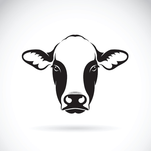 Vektor des Kuhgesichtsdesigns auf weißem Hintergrund Nutztier. Leicht bearbeitbare geschichtete Vektorillustration