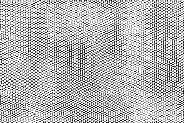 Vektor-Dokumentation eines schwarz umrissenen Netzes mit einem auf einem weißen isolierten Texturbild