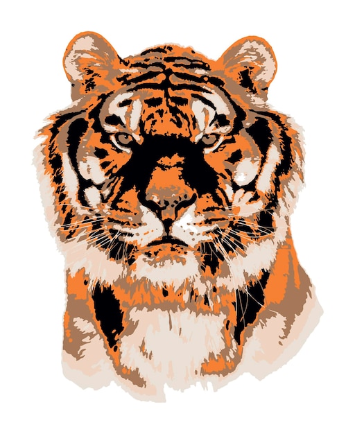 Vektor eines tigerkopfporträts, nahaufnahme, mit blick auf die kamera isoliert auf weiß