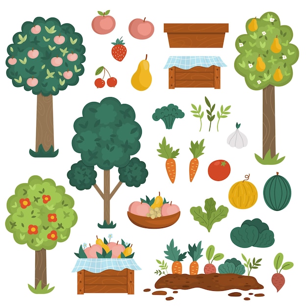 Vektor-garten-obstbäume und ernte-sammlung gemüse- und obst-icons-set holzkisten mit ernte bauernland pack mit pflanzen beeren gemüse äpfel karotte tomate illustrationxa