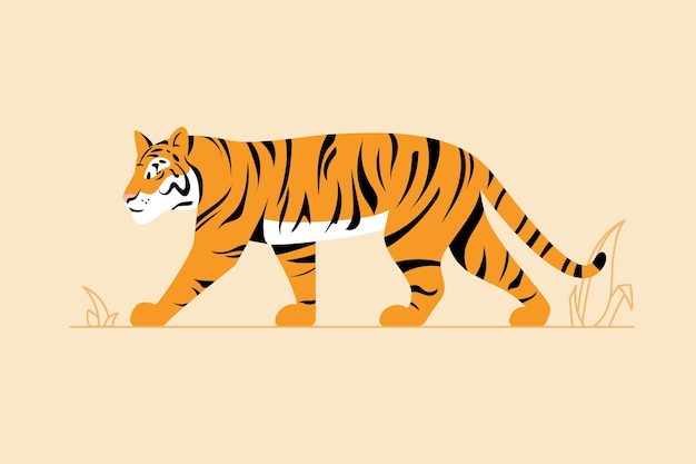 Vektor vektor gehender afrikanischer tiger isoliert auf weißem hintergrund bengalischer tiger stehend zoo wilde großkatze