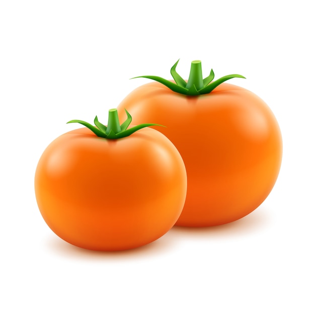Vektor große reife orange frische ganze tomaten auf weiß