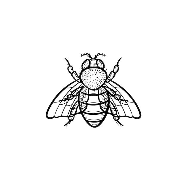 Vektor handgezeichnete fliegen umriss doodle symbol. fly sketch illustration für print, web, mobile und infografiken isoliert auf weißem hintergrund.