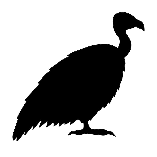 Vektor handgezeichnete gänsegeier-vogel-silhouette