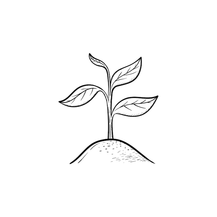 Vektor vektor handgezeichnete sprout umriss doodle symbol. sprießen sie skizzenillustration für print, web, mobile und infografiken einzeln auf weißem hintergrund.