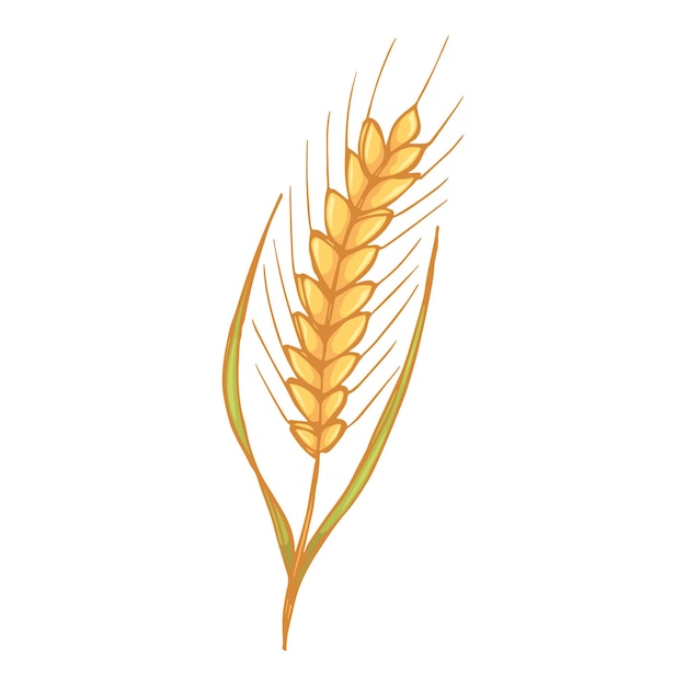 Vektor handgezeichnete Weizen-Doodle-Illustration Niedliche Ernte-Cliparts Agrarmarktprodukt