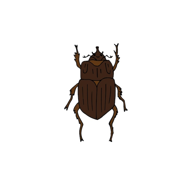 Vektor-handgezeichneter zeichenschnitt brauner käferkäfer