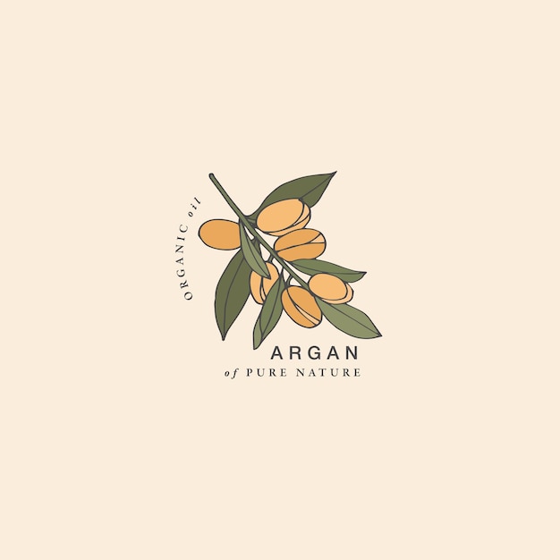 Vektor-illustration argan-zweig - vintage-gravur-stil. logo-komposition im botanischen retro-stil.