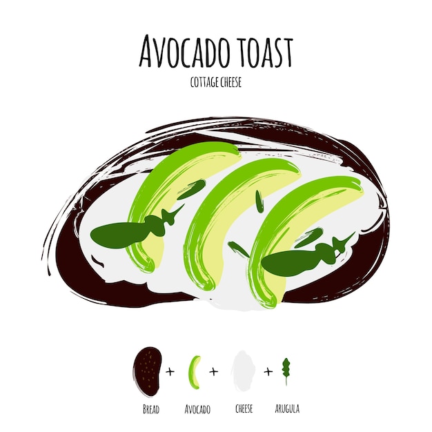 Vektor-Illustration Avocado-Toast mit Frischkäse