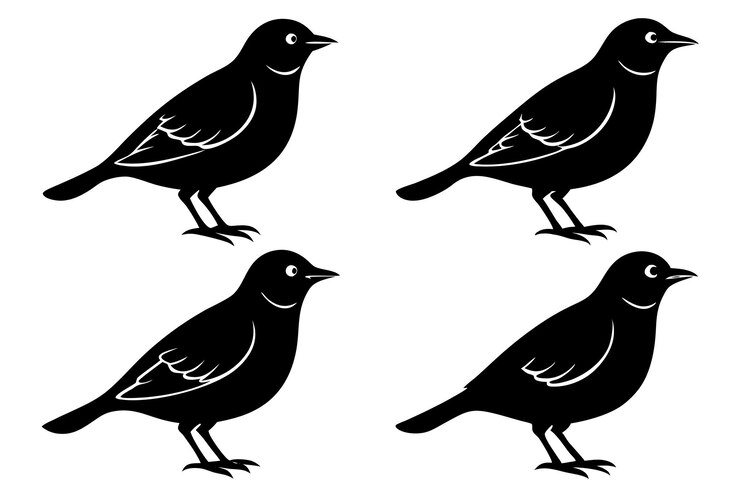 Vektor vektor-illustration der silhouette des lark-vogels
