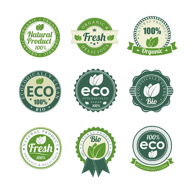 Vektor-Illustration des Designs des Eco-Element-Badgesets