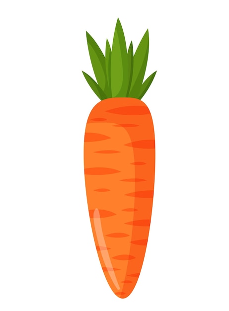 Vektor-Illustration einer orangefarbenen Karotte Gemüse und Rohkost