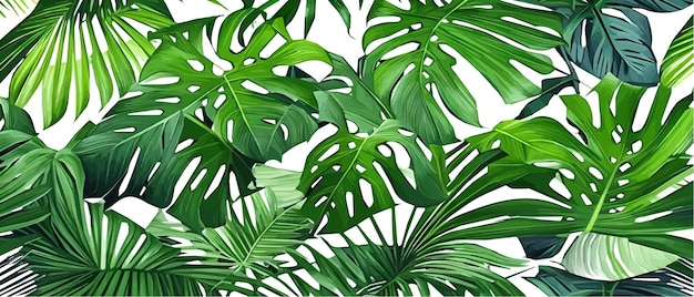 Vektor-Illustration horizontale tropische Blätter Banner Exotisches botanisches Design Kosmetik-Spa-Gesundheitsprodukte
