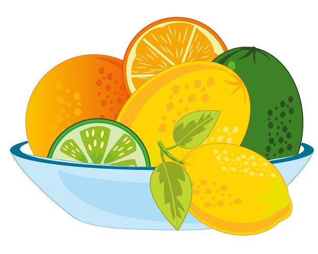 Vektor-Illustration-Obst-Obst-Zitrusfrucht auf Platte