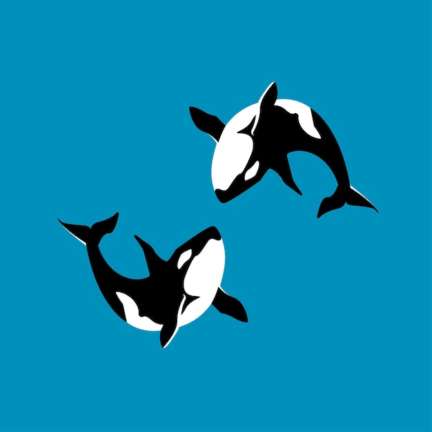 Vektor-illustration von handgezeichneten killer schöne tuschezeichnung orca