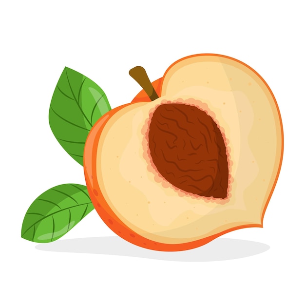 Vektor-illustration von pfirsich isoliert auf weißem hintergrund, pfirsich mit blättern, hälfte pfirsich, stück