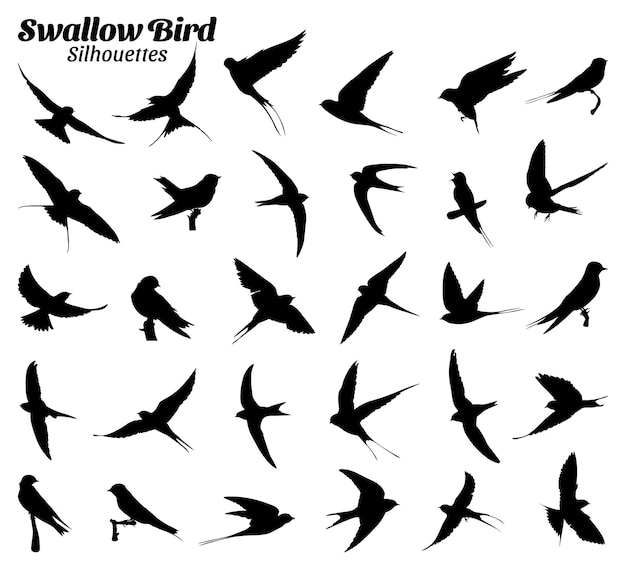 Vektor-illustrationssatz für schwalbenvogel-silhouetten