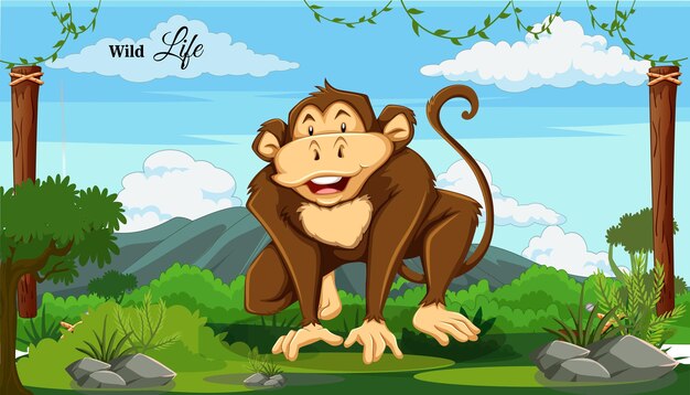 VEKTOR-Illustrator für Waldtiere