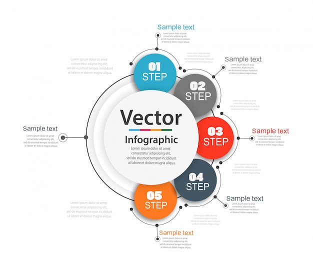 Vektor infografiken anzahl optionen vorlage mit 5 schritten