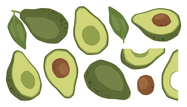 Vektor-isolierter Satz von Avocados, ganze Hälften und Scheiben