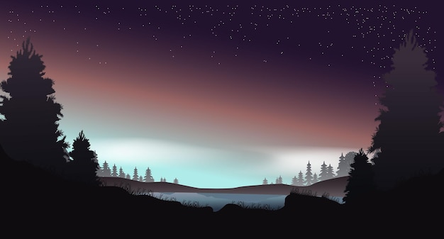 Vektor-nachtlandschaft wald sternenhimmel bunte illustration sternenhimmel vor der morgendämmerung