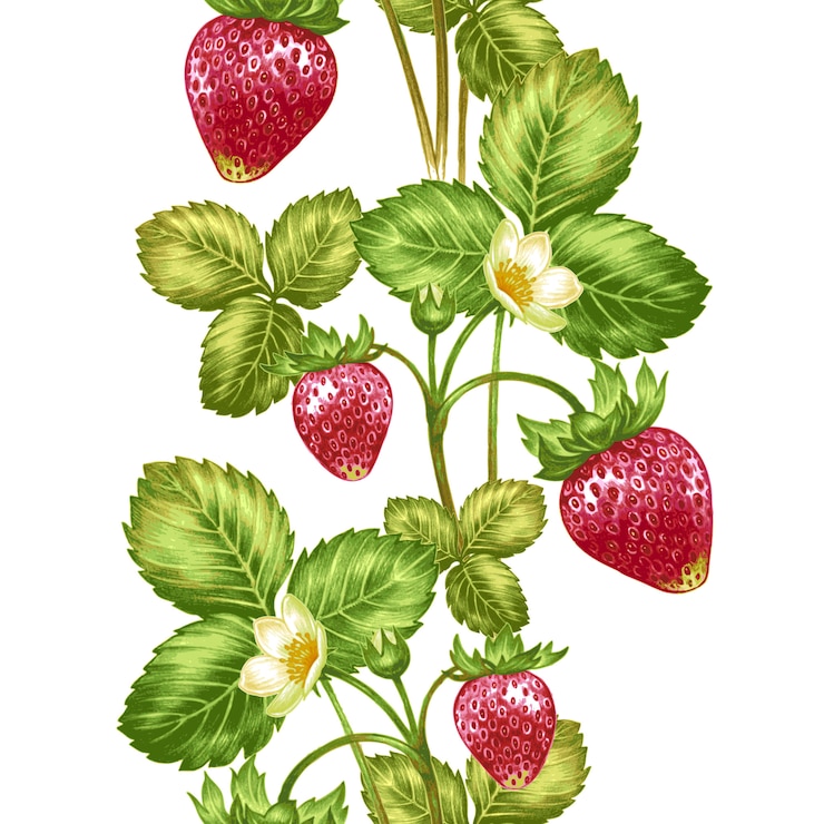 Vektor vektor nahtloses muster mit blumen und erdbeeren