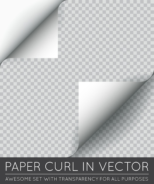 Vektor-Papier-Seitenrotation mit dem Schatten lokalisiert.