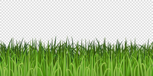 Vektor vektor-realistische frühlingsgrüne grasgrenze auf durchsichtigem hintergrund gras nahtloses muster