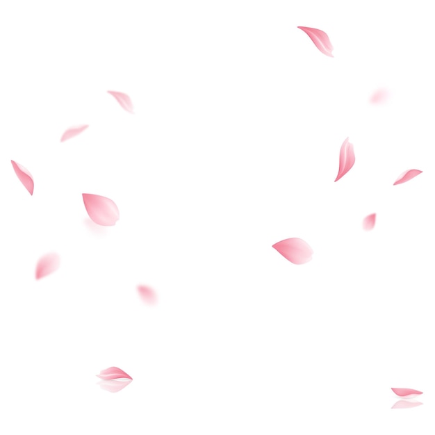 Vektor-sakura fliegende blütenblätter auf durchsichtigem hintergrund