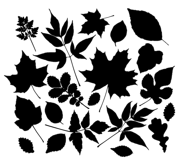 Vektor-Satz von Blättern Silhouette