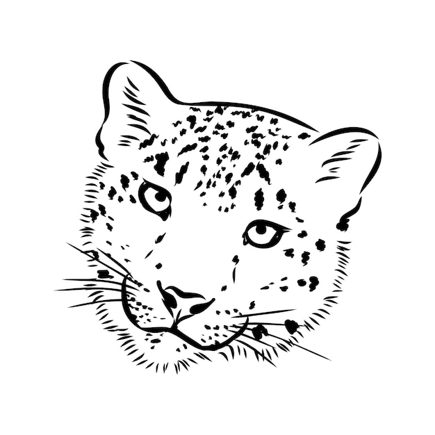 Vektor-schneeleopard irbis wildkatzen grafische illustration