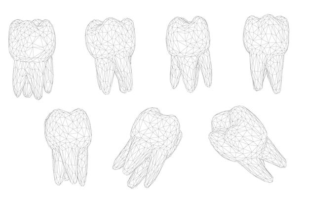 Vektor vektor-set von 3d-zähnen für die zahnmedizin isoliert auf weiß