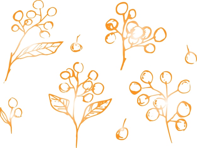 Vektor-set von handzeichnung wildpflanzen kräuter und beeren in goldenen farben künstlerische botanische illustration