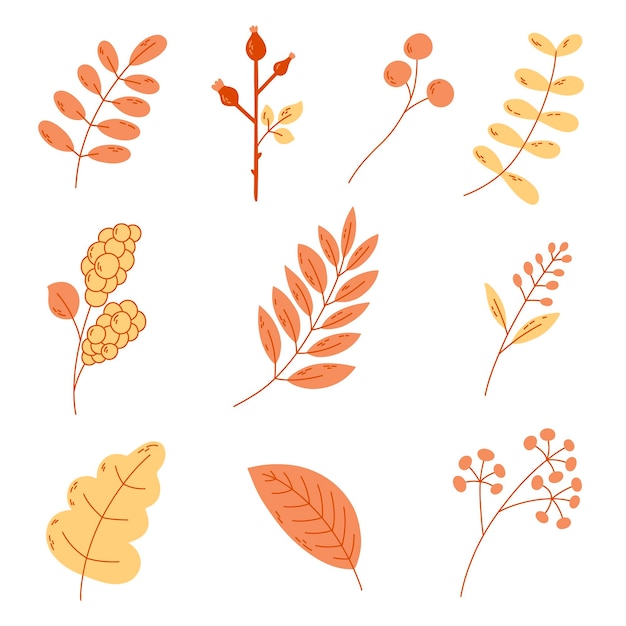 Vektor-set von herbst-icons blatt-zweig mit beeren hagebutte schneebeere sammlung von herbstpflanzen