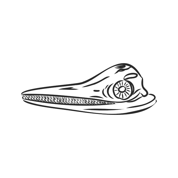 Vektor skizzenhafte illustration krokodilskelett vektorskizze