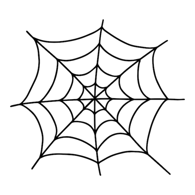 Vektor-spinnennetz-doodle-illustration handgezeichnetes doodle-spinnennetz isoliert